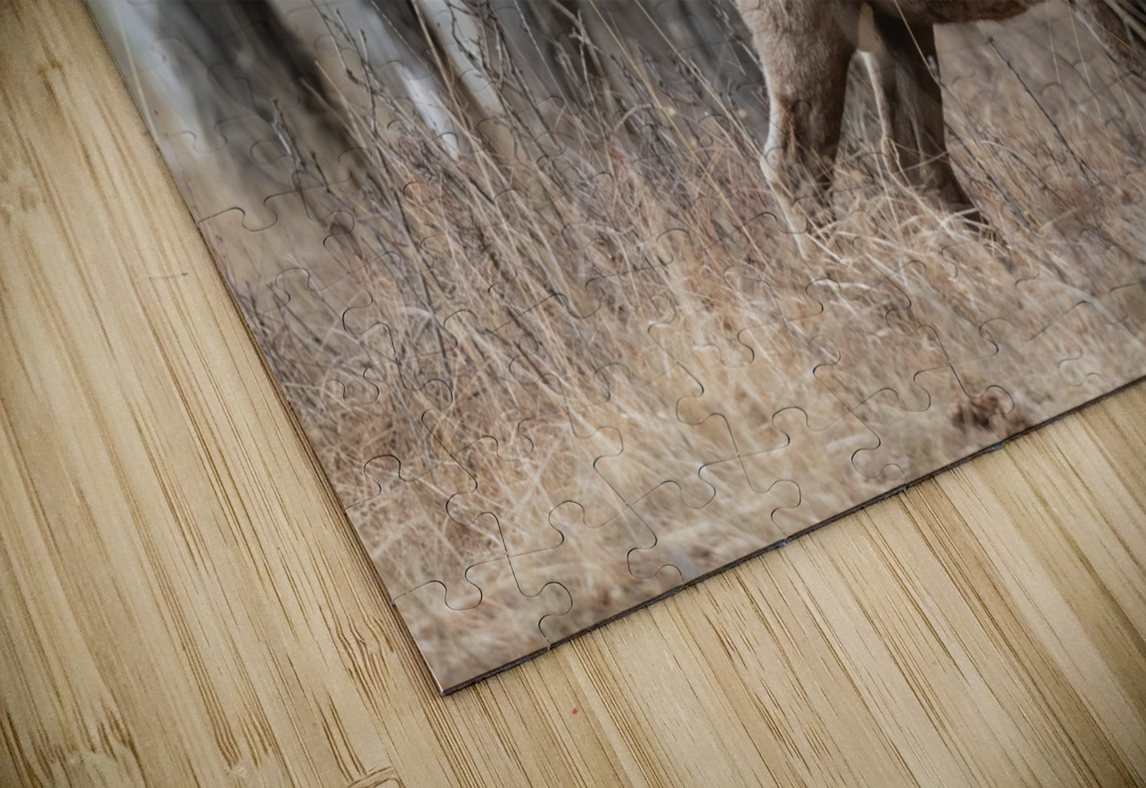 Bighorn Ram Randy Tremblay Photography Puzzle