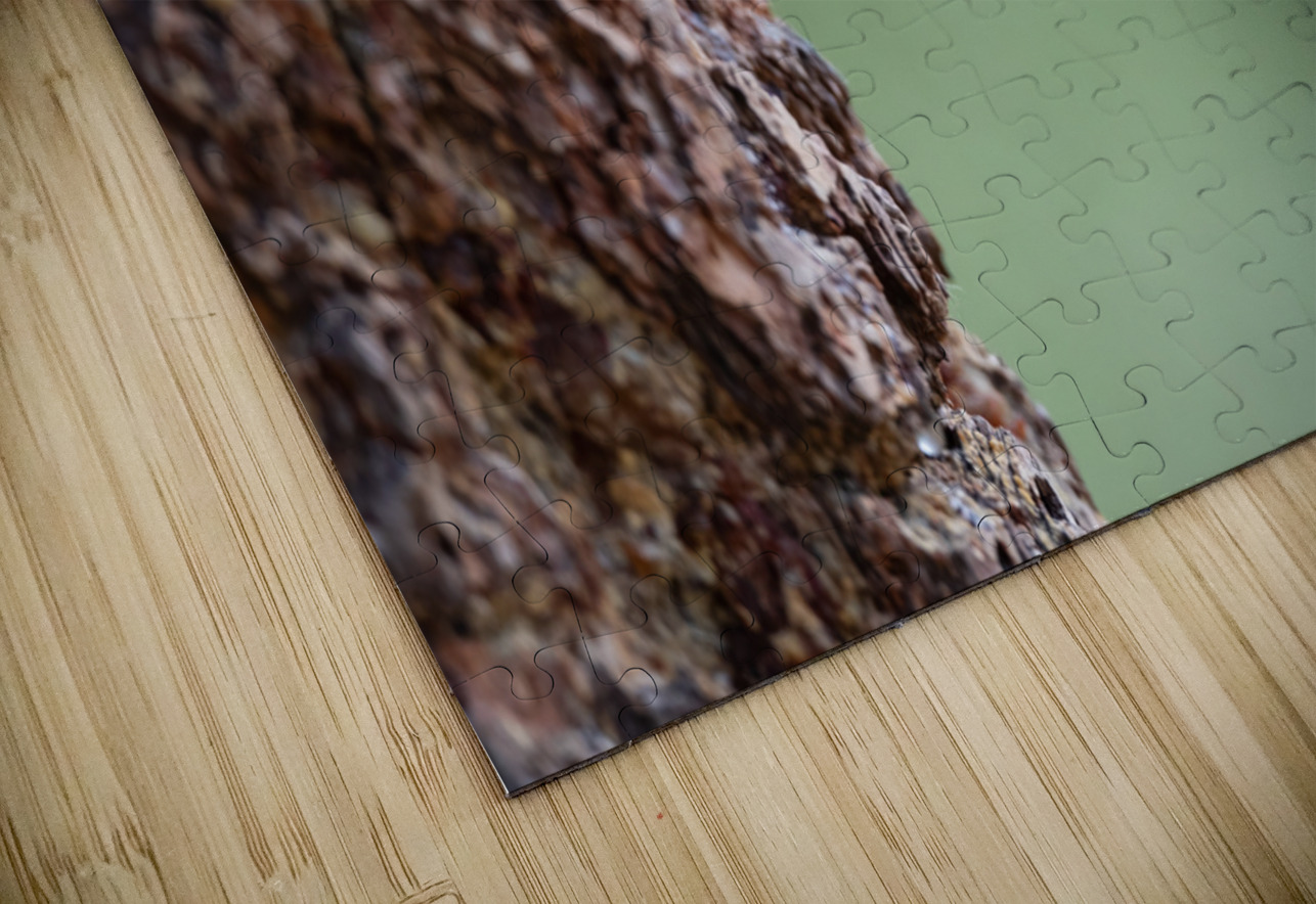 Northern Pygmy Owl Randy Tremblay Photography Puzzle