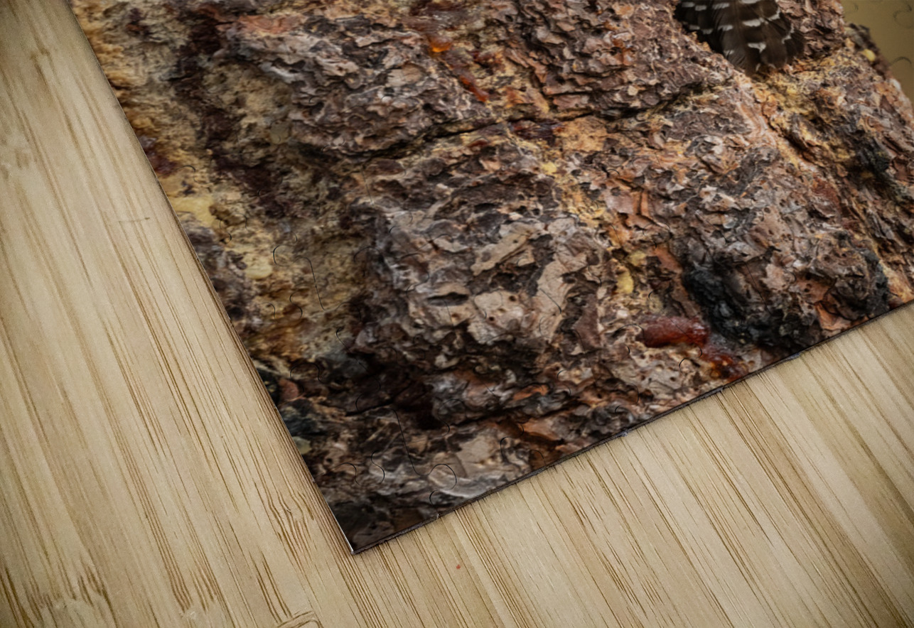 Northern Pygmy Owl Randy Tremblay Photography Puzzle