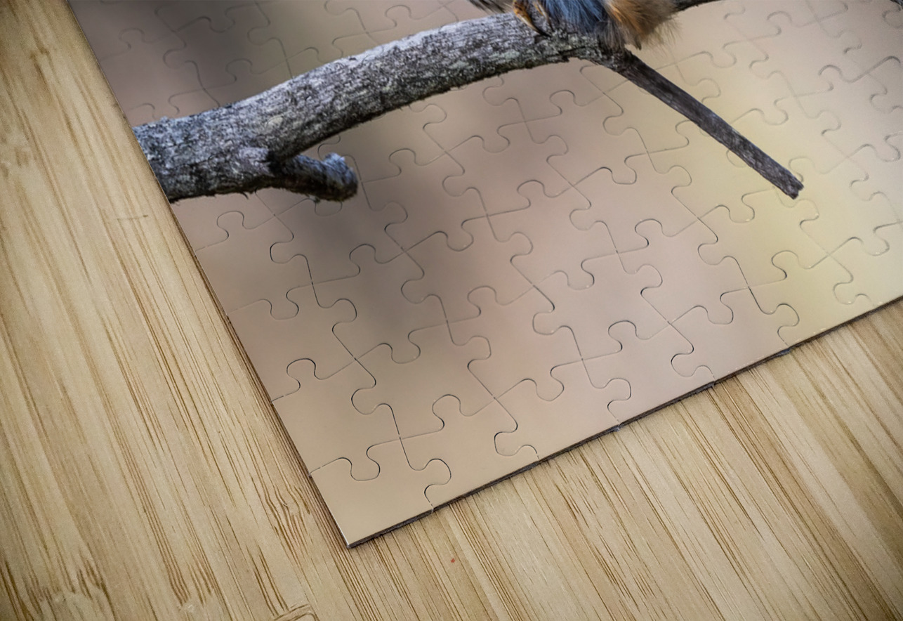 Northern Pygmy Owl Randy Tremblay Photography Puzzle