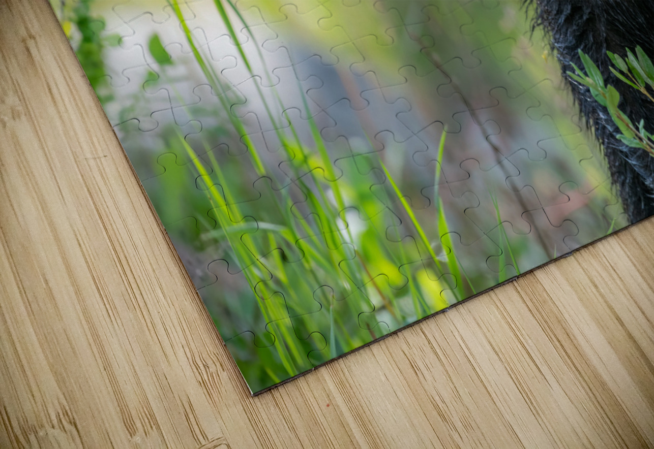 Grizzly Cub Randy Tremblay Photography Puzzle