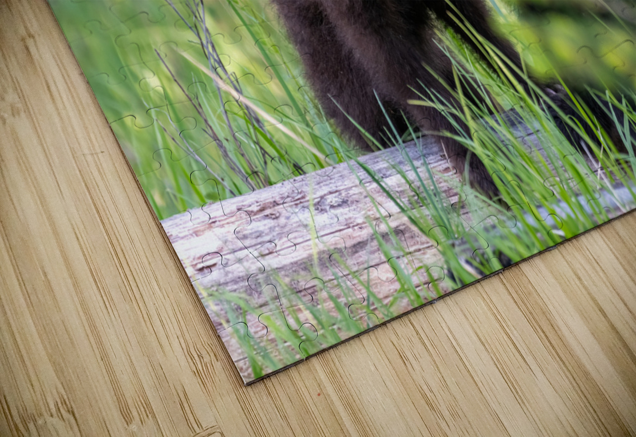 Grizzly Cubs Randy Tremblay Photography Puzzle