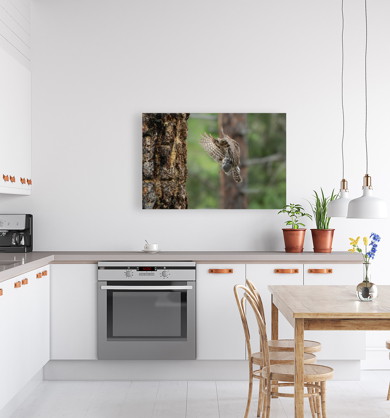 Northern Pygmy Owl Reproduction