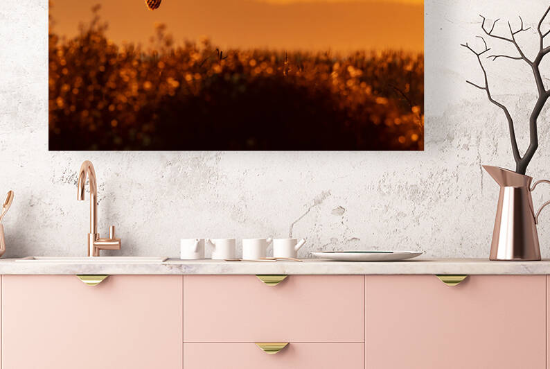 Short-eared Owl by Randy Tremblay Photography