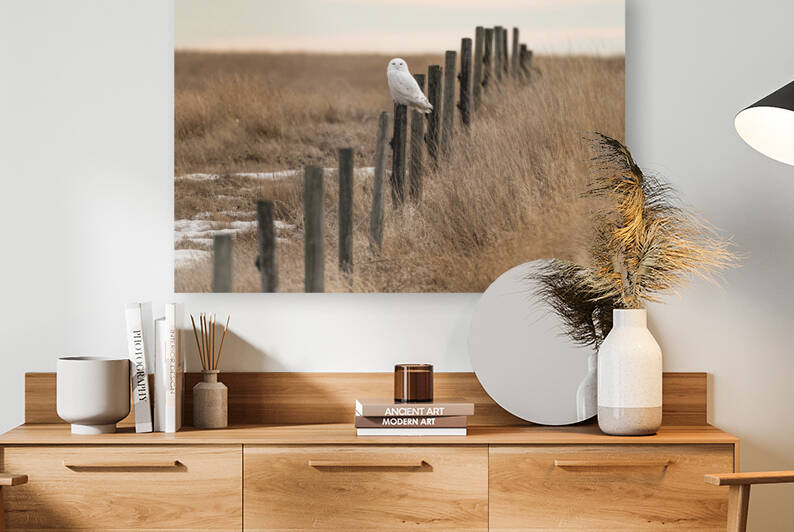 Snowy Owl by Randy Tremblay Photography