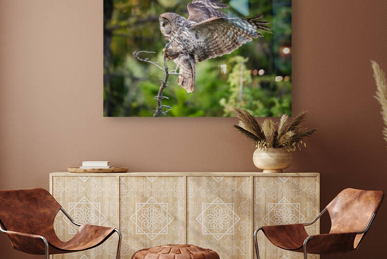 Great Gray Owl by Randy Tremblay Photography