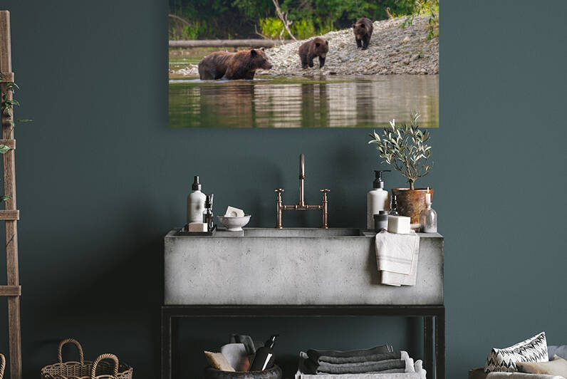 Grizzly Sow with Cubs by Randy Tremblay Photography