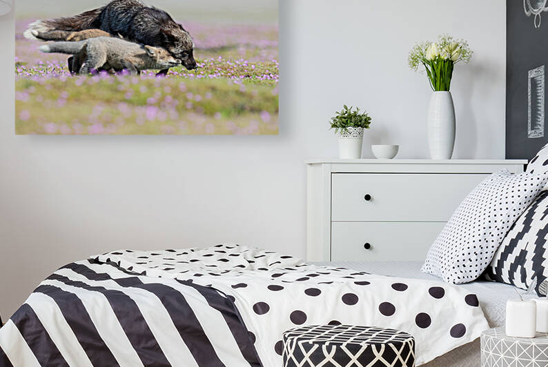 Red Fox with Kits by Randy Tremblay Photography