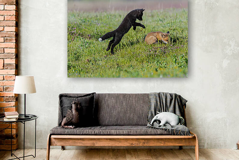 Red Fox Kits by Randy Tremblay Photography