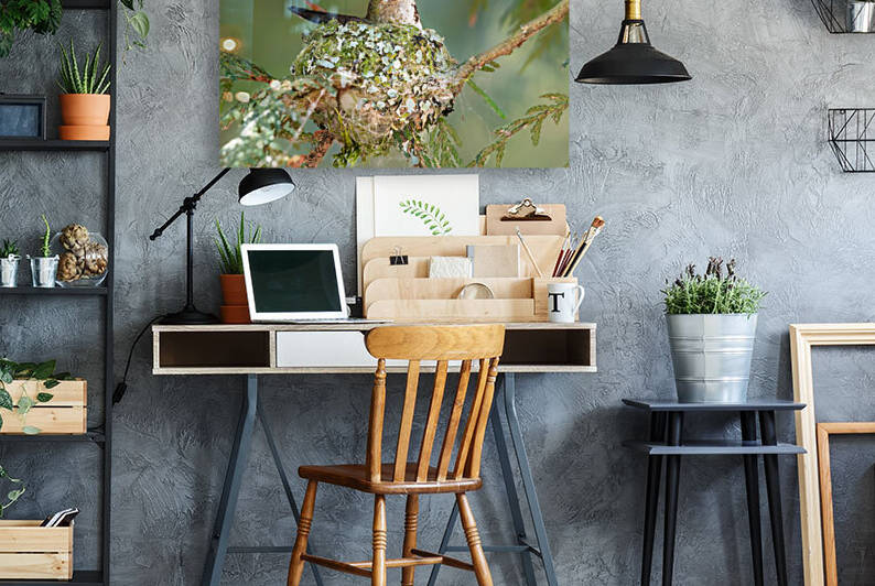 Female Rufous Hummingbird by Randy Tremblay Photography