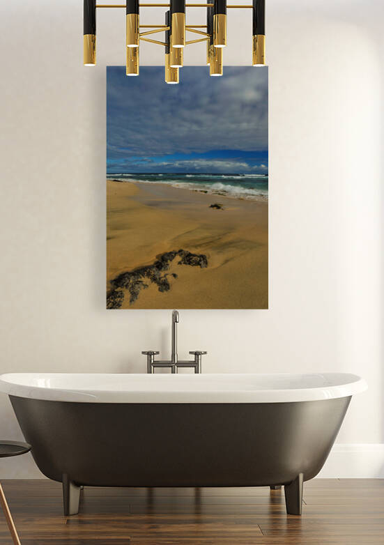 Tropical Shoreline by Randy Tremblay Photography