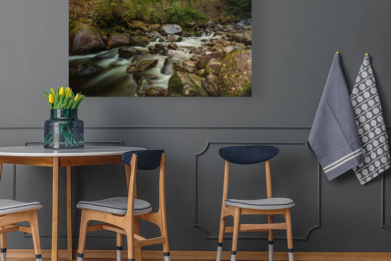 Forest Stream by Randy Tremblay Photography