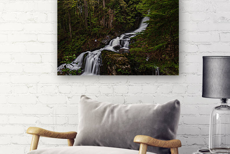 Forest Waterfall by Randy Tremblay Photography