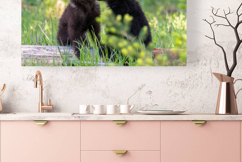 Grizzly Cubs by Randy Tremblay Photography